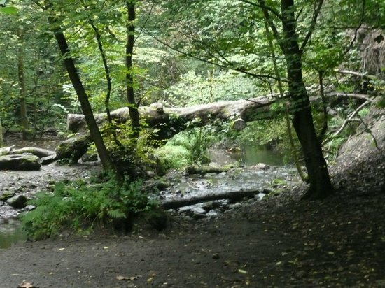 The Hermitage of Braid and Blackford Hill Local Nature Reserve