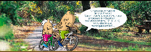 Jerry Bike Rental