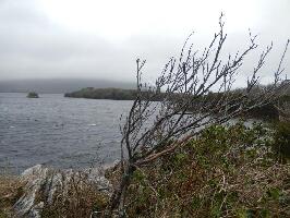 Killarney Guided Walks