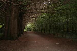 Gort Ireland Park