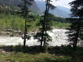 Manali India Park