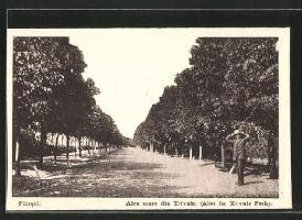 Trivale Park (Piteşti)
