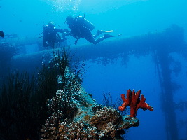 Sinai Divers Aqaba