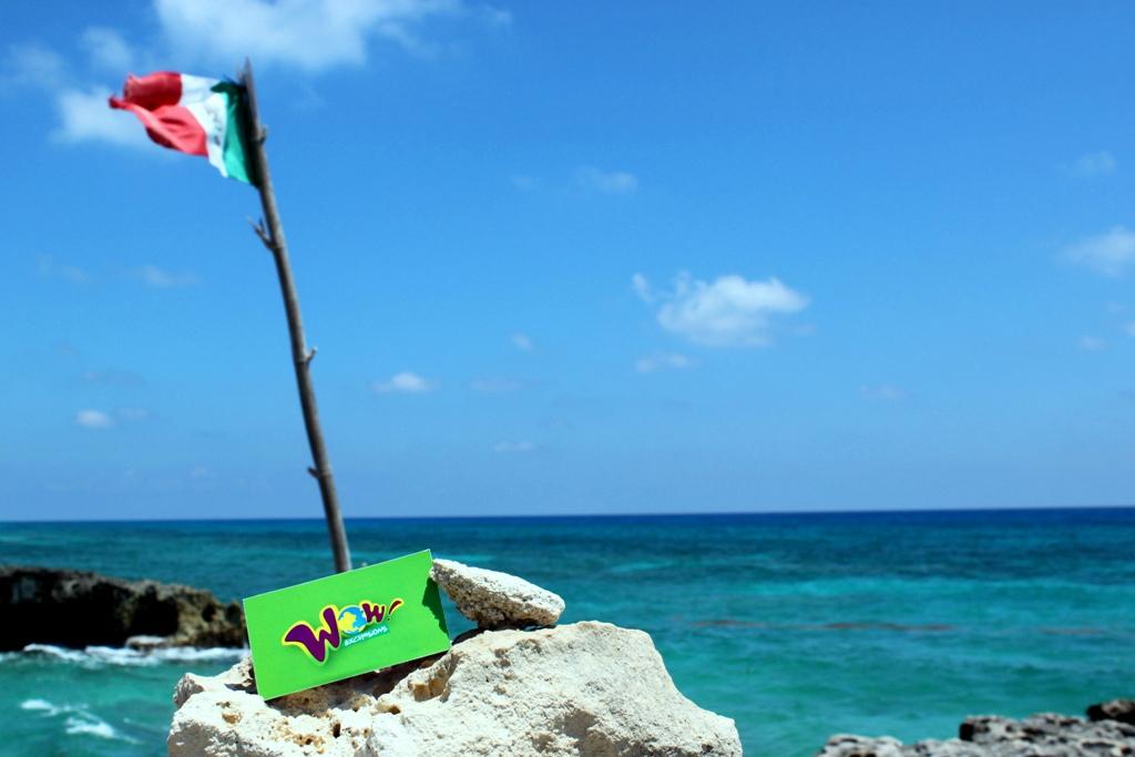 Wow Excursions - Tours