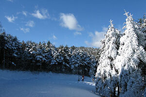 Blanche Takayama Ski Resort