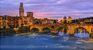 GoOpti - Verona