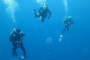 Cathedral Cove Dive & Snorkel