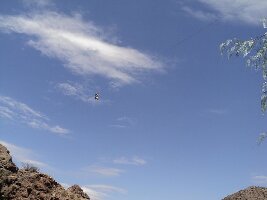 Canopy del Lago