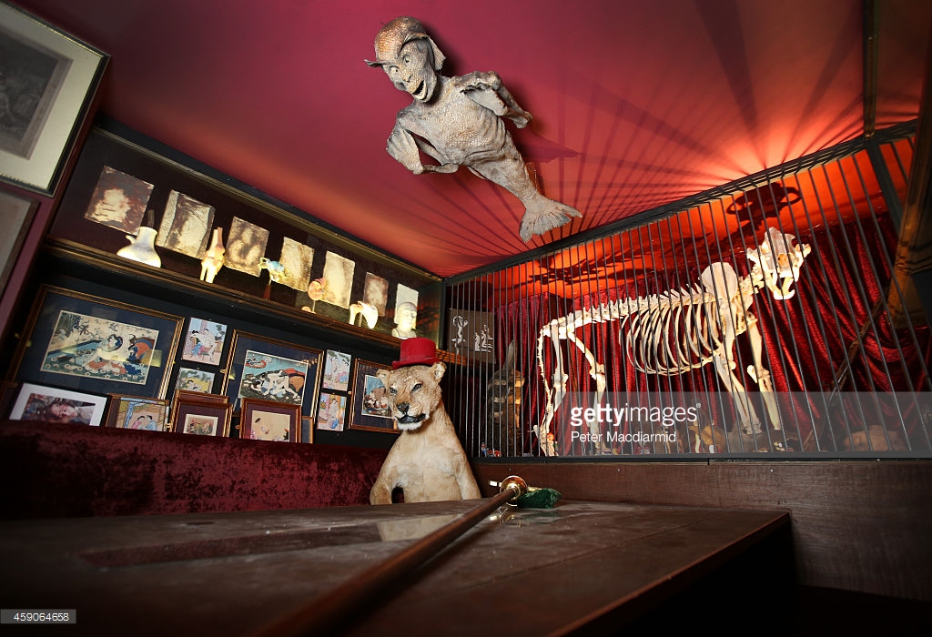 The Viktor Wynd Museum of Curiosities, Fine Art & Natural History