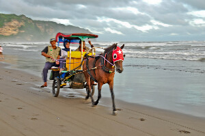 Parangtritis Beach