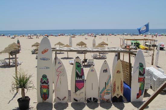 Carcavelos Surf School