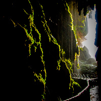 Monasterio de Piedra