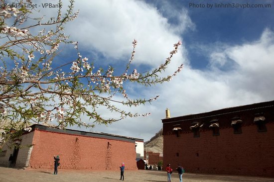 Road To Tibet-Day Tour