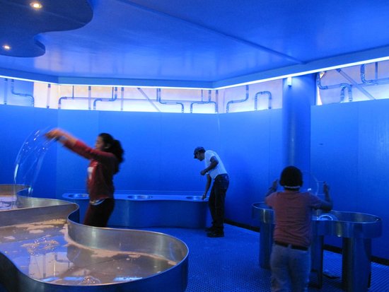 Yaku Water Park Museum
