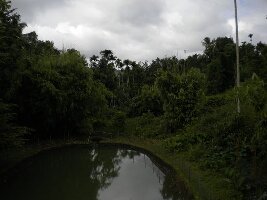 Groowynd Holidays - Day Tours