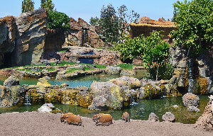 Zoo Natura Parc