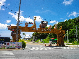 Okinawa Zoo & Museum