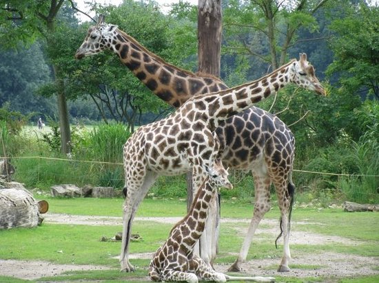 Leipzig Zoo (Zoologischer Garten Leipzig)