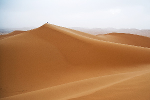Top Desert