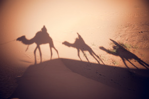 Sahara Morocco Tours