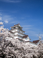 Tsuruga Castle