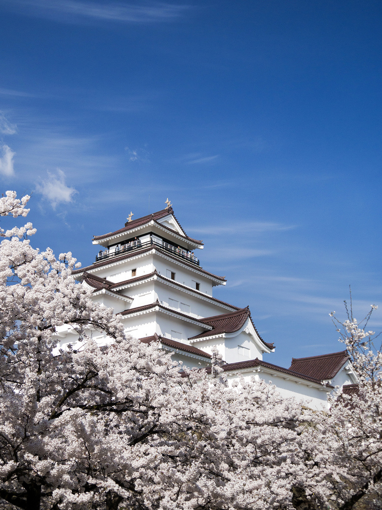 Tsuruga Castle