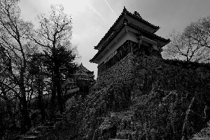Takahashi Japan Castle