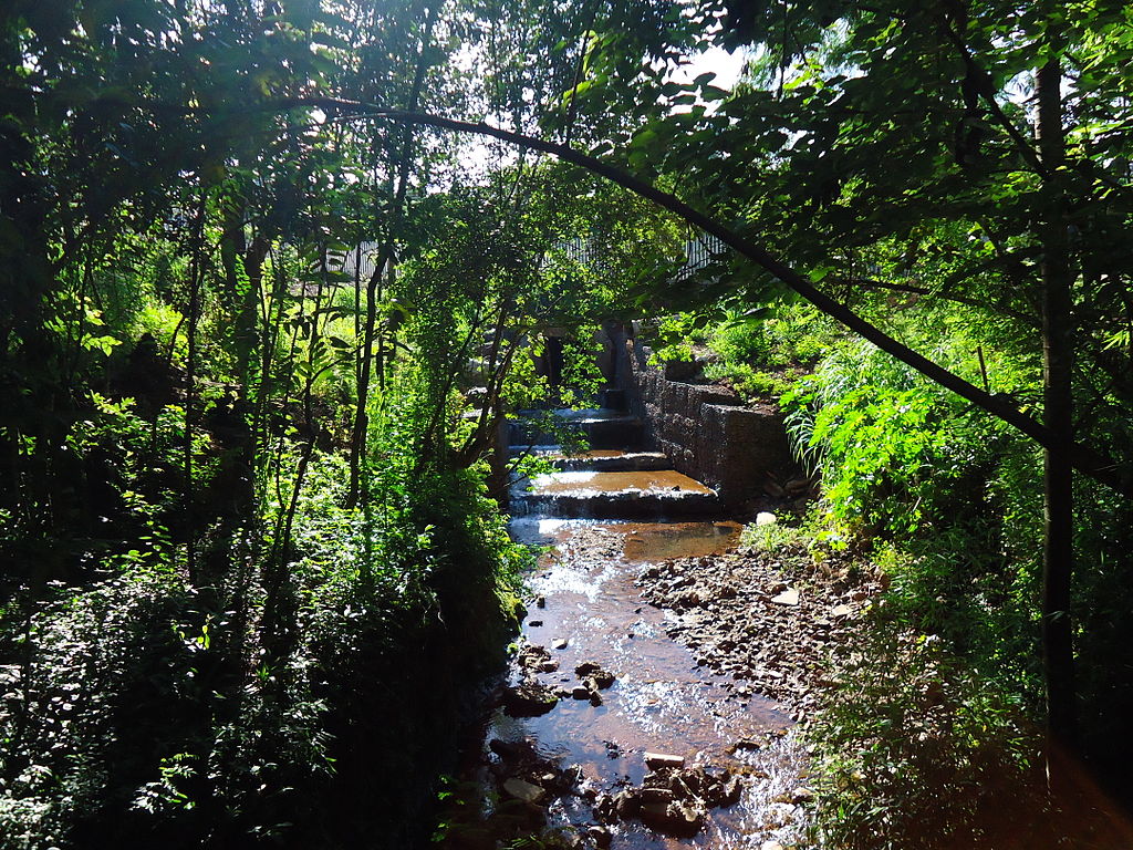 Parque Vit&oacute;ria R&eacute;gia