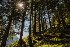 Oeschinensee