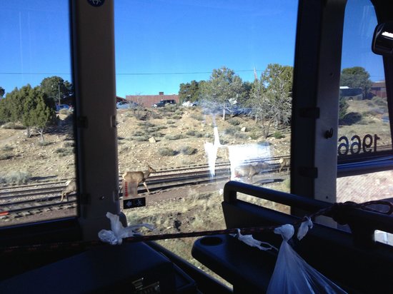 Grand Canyon Tour Company - South Rim Bus Tour