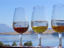 Tasmanian House of Whisky