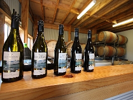Bruny Island Premium Wines