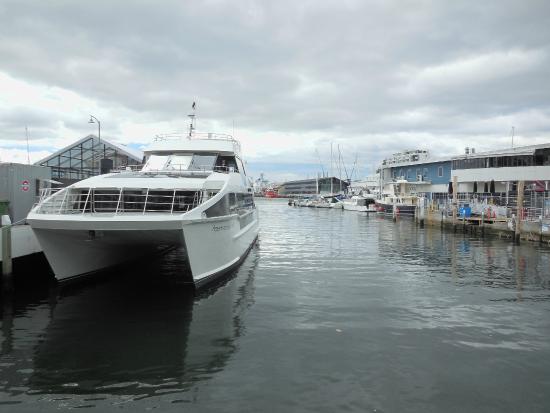 Peppermint Bay Day Cruises