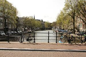 Everyday Walking Tours