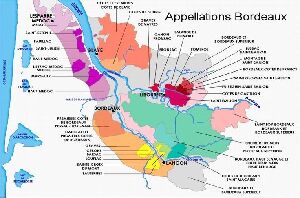 Bordeaux Wine Trails