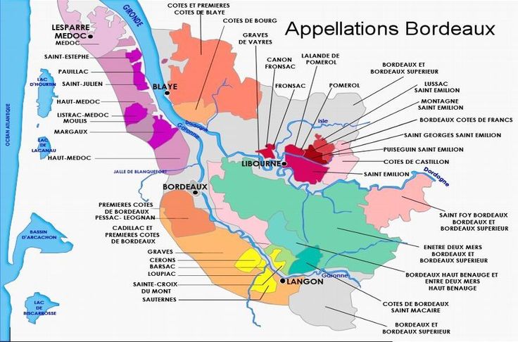Bordeaux Wine Trails
