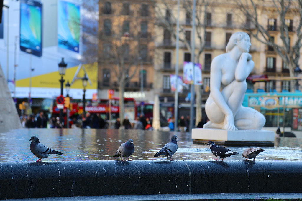 Catalunya Bus Turistic