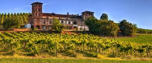 Menegolli Vineyards and Wineries
