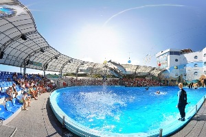 Nemo Dolphinarium
