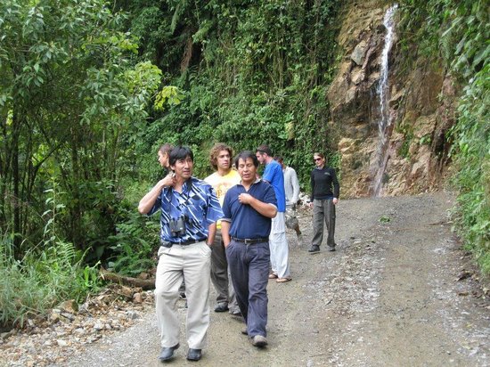 Amazon Trails Peru Tours - Day Tours