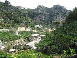 Lemon Tour Amalfi- day tours