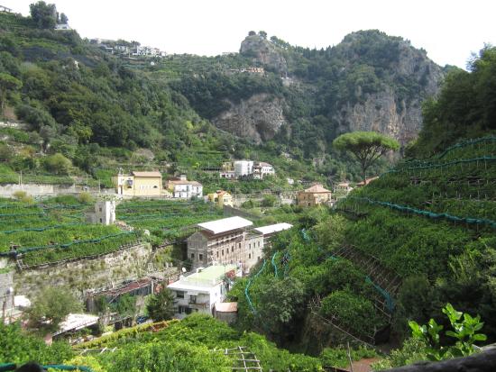 Lemon Tour Amalfi- day tours