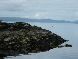 Plockton Seal Trips