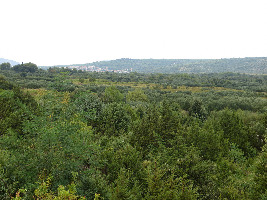 Stari Grad Plain