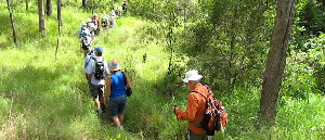 Whitsunday Islands Australia Walk