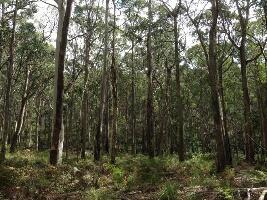 Daylesford Canada Hiking