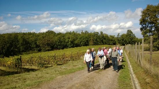 Sara Testi ,Hiking, Walking and Tour Guide in Siena and Tuscany