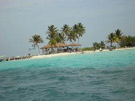 Ecological Tours and Services