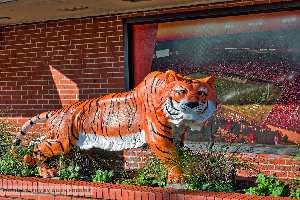 Auburn United States Stadium