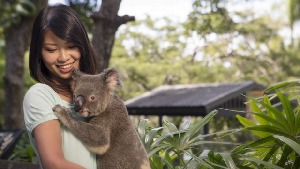 WILD LIFE Hamilton Island